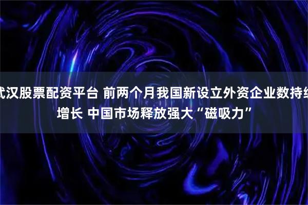武汉股票配资平台 前两个月我国新设立外资企业数持续增长 中国市场释放强大“磁吸力”